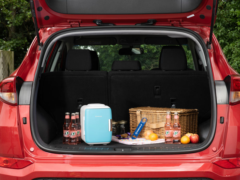 Subcold Classic 4L Mini Fridge