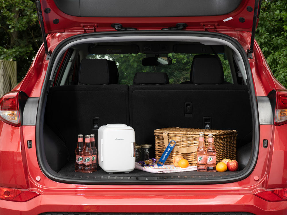 Subcold Classic 4L Mini Fridge